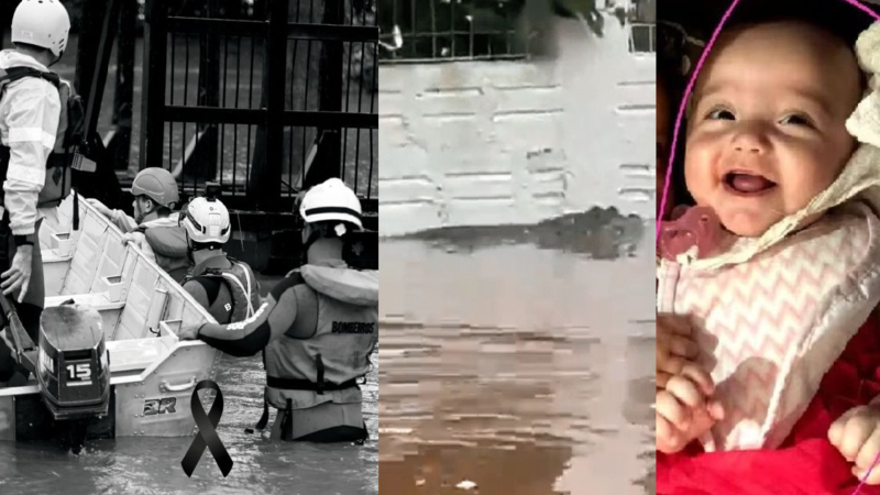 Chocante: Enchentes no RS, bebês gêmeos caem do banco, Jacarés acabam peg…Ver Mais