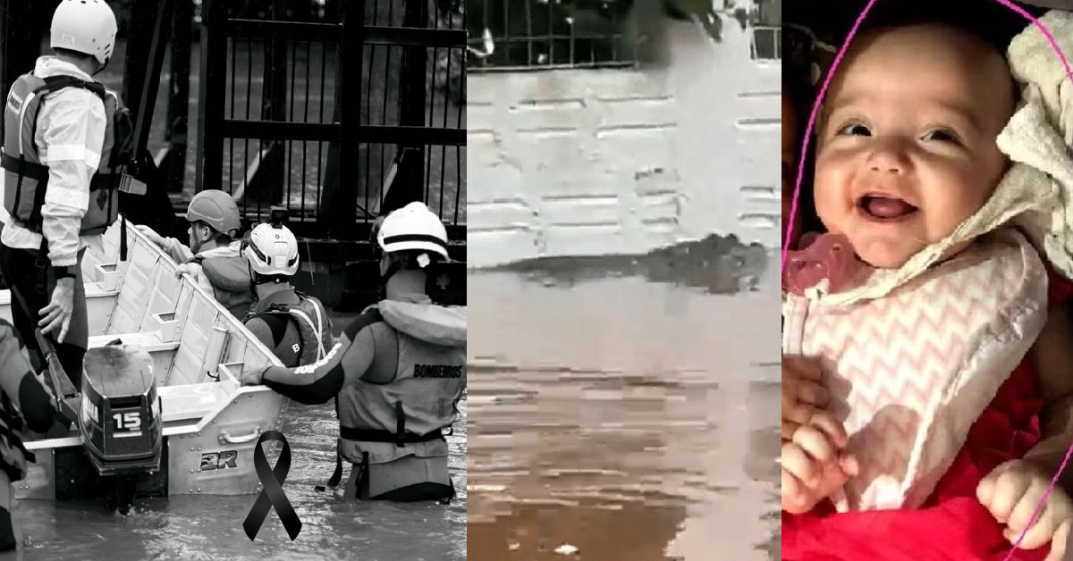 Chocante: Enchentes no RS, bebês gêmeos caem do banco, Jacarés acabam peg…Ver Mais