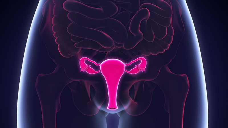 Ginecologista Revela 04 Coisas que Toda Mulher Faz Que Pode Causar Câncer Na Áreas Íntimas