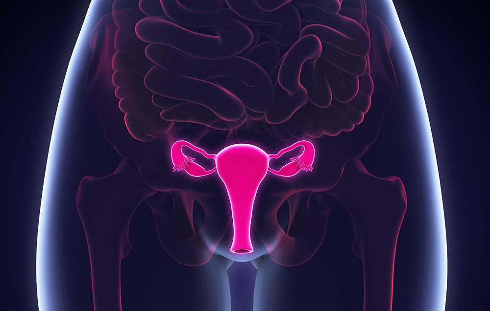 Ginecologista Revela 04 Coisas que Toda Mulher Faz Que Pode Causar Câncer Na Áreas Íntimas