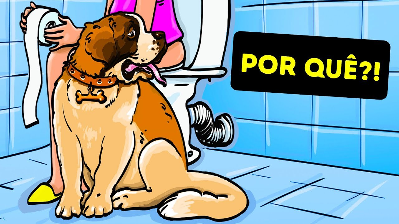 É por isso que os cachorros sentam ao seu lado quando você vai ao banheir…Ver mais