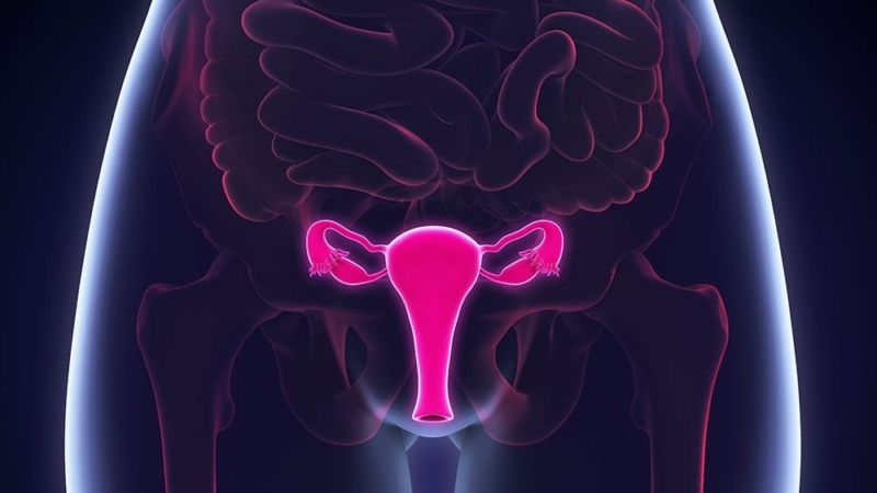 Ginecologista Revela 04 Coisas Que Toda Mulher Faz Que Pode Causar Câncer Nos Lábios Íntimos