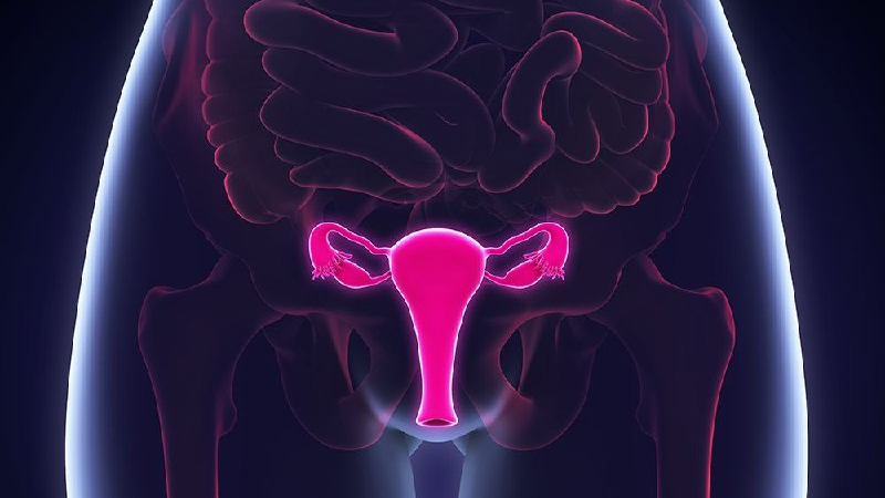 Ginecologista Revela 05 Coisas Que Toda Mulher Faz Que Pode Causar Câncer Na Vulv…Ver mais