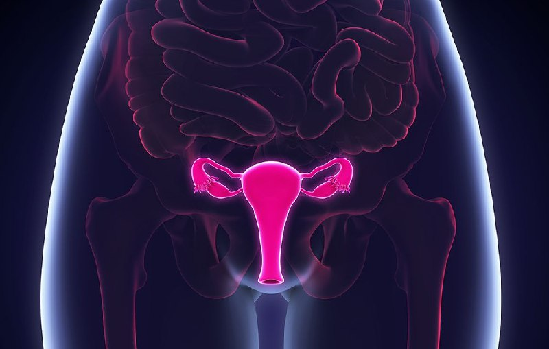 Ginecologista Revela 05 Coisas Que Toda Mulher Faz Que Pode Causar Câncer Na Vulv…Ver mais