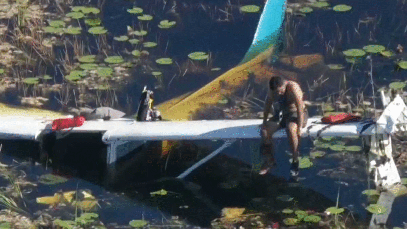 Avião Cai Dentro de Rio Cheio de Jacarés Na Amazônia e Acab…Ver mais