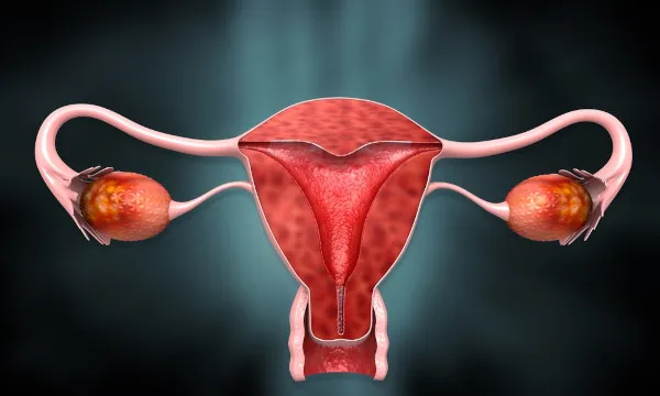 Médicos Revela 03 Coisas Que Toda Mulher Faz Que Pode Causar Câncer De Vag…Ver mais
